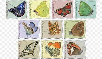 Belgium Postage Stamps Mail Post Cards Illustrator - others 