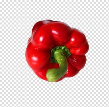 Bell pepper Chili pepper Malagueta pepper Vegetable Spice, pepper transparent background PNG clipart