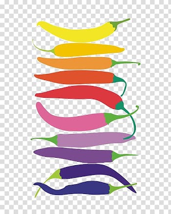 Bell pepper Chili pepper Sichuan pepper, Colored peppers transparent background PNG clipart