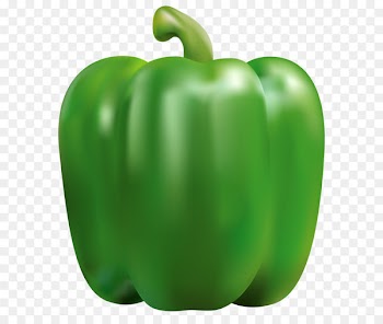Bell pepper Chili pepper Vegetable Clip art - Green Pepper PNG Clipart Image 