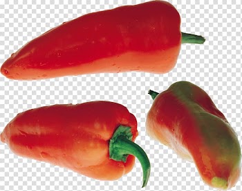 Bell pepper Chili pepper Vegetable, Pepper transparent background PNG clipart