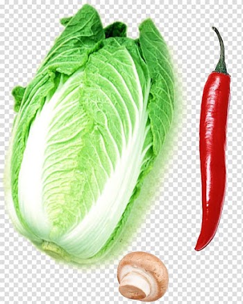 Bell pepper Chili pepper Vegetable, Small red peppers cabbage transparent background PNG clipart