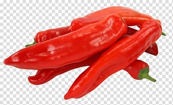 Bell pepper Facing heaven pepper Pungency Vegetable Capsicum frutescens, Vegetables, red pepper-kind transparent background PNG clipart