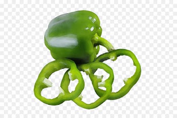 bell pepper green bell peppers and chili peppers green bell pepper pimiento
