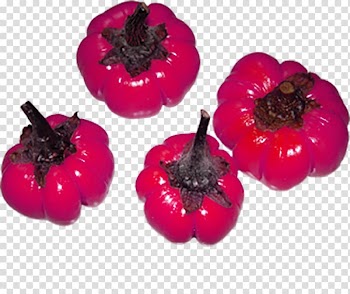 Bell pepper Habanero Vegetable Pizza, Creative pumpkin transparent background PNG clipart