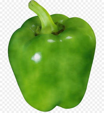 bell pepper pimiento capsicum green bell pepper green