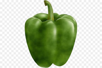 bell pepper pimiento green bell pepper green capsicum