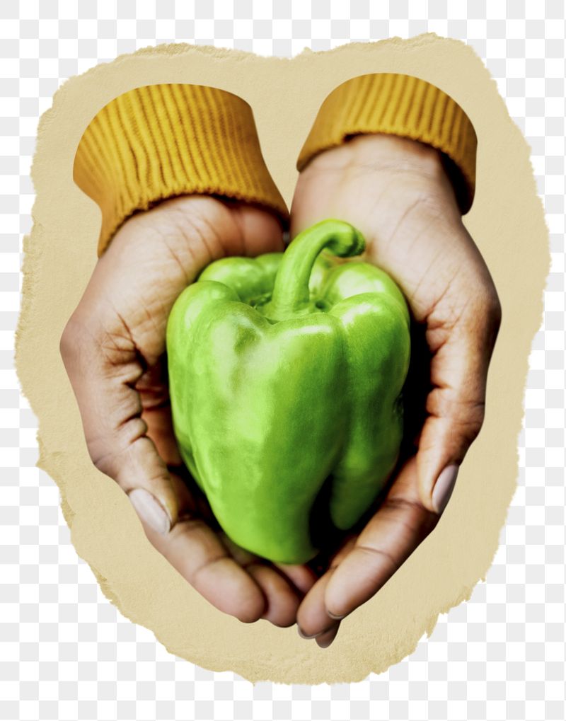 Bell pepper png sticker, ripped | Free PNG - rawpixel