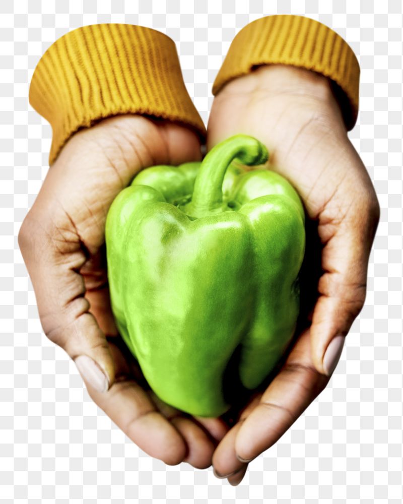 Bell pepper png sticker, vegetable, | Free PNG - rawpixel