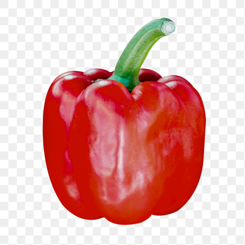 Bell pepper png vegetable sticker, | Free PNG - rawpixel