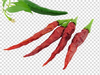 Bell pepper Vegetable Ingredient Food Auglis, green pepper transparent background PNG clipart