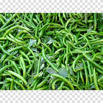 Bell pepper Vegetable Pepperoni Chili pepper, vegetable transparent background PNG clipart
