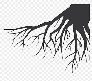 Bella Italia Genealogy Di Bovino Alessandrop - Family Tree Svg Free