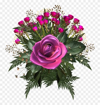 Belles Fleurs Png - Lovely Rose Animation
