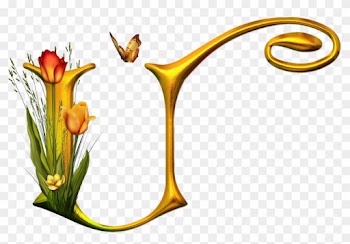 Bello Alfabeto Con Flores Y Mariposas - Alphabet