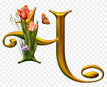 Bello Alfabeto Con Flores Y Mariposas - Alphabet
