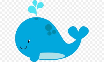 Beluga whale Drawing Blue whale Clip art - Cute little whale 