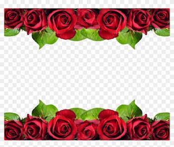 Bem Fácil Png - Rose Flower Design Border