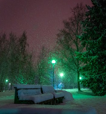 Bench Covered In Snow