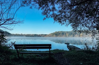 bench in front of body of water