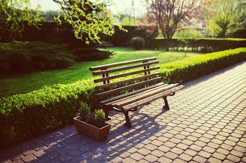 Bench in the garden