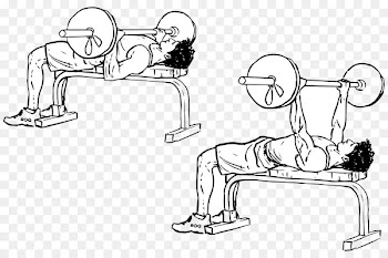 Bench press Barbell Dumbbell Exercise - barbell 