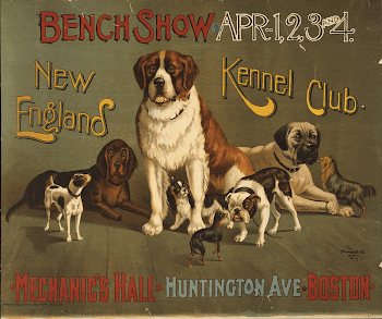 Bench show. New England Kennel | Free Photo - rawpixel