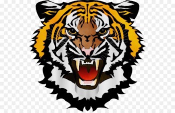 bengal tiger tiger roar wildlife head