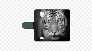 Bengal tiger Video Stock photography White tiger - huawei y360 