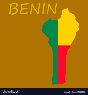 Benin map with flag vector image