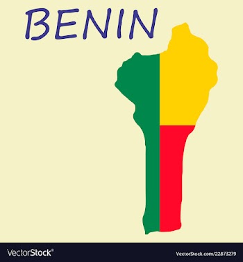 Benin map with flag vector image