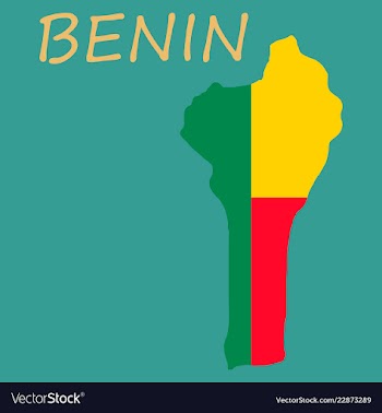 Benin map with flag vector image