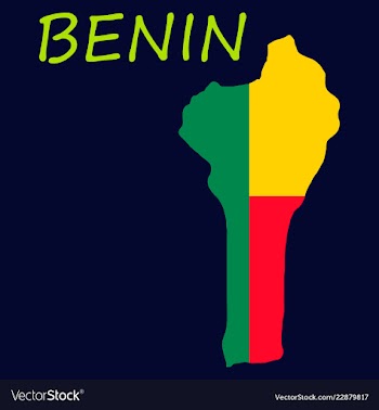 Benin map with flag vector image