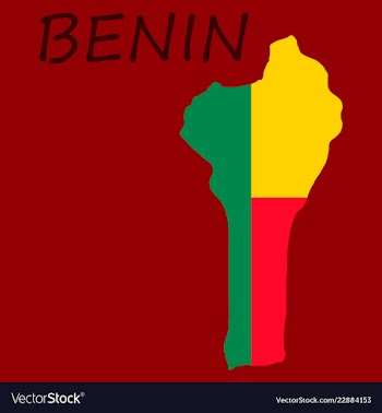 Benin map with flag vector image