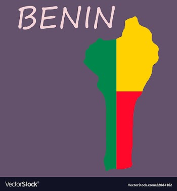 Benin map with flag vector image