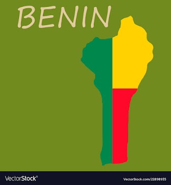 Benin map with flag vector image