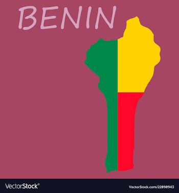 Benin map with flag vector image