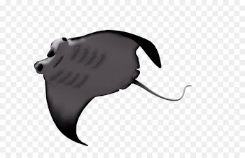 Benthic zone Manta ray Animal Marine biology - ray 