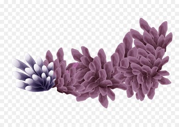 Benthic zone Seabed Coral - Purple coral 