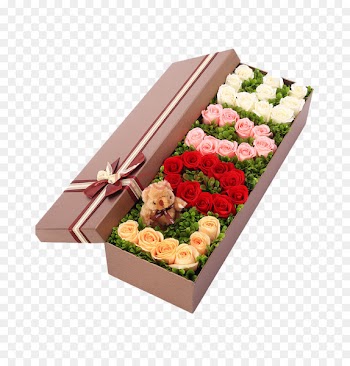 Bento Box Flower Rose Gift - Rose png creative packaging boxes 