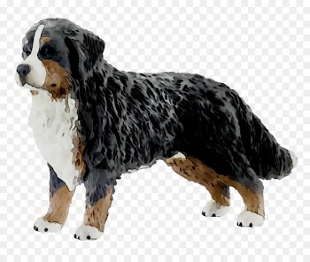 Bernese Mountain Dog Dog breed Greater Swiss Mountain Dog Barbie Sisters Wave Ride Jet Ski -  