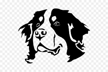 Bernese Mountain Dog, Golden Retriever, Mountain Dog, Dog, Canidae PNG