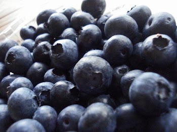 berries.jpg