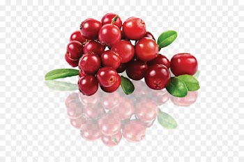 Berries, Juice, Lingonberry, Berry, Fruit PNG