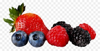 Berries Portable Network Graphics Sorbet Juice Fruit -  