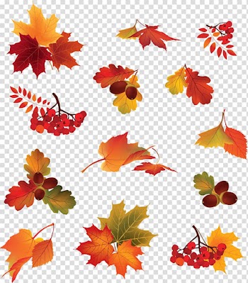 Berry Autumn leaf color, Autumn leaves transparent background PNG clipart