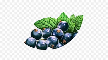 berry bilberry fruit blueberry plant