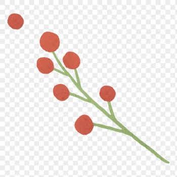 Berry branch png sticker, winter | Free PNG - rawpixel