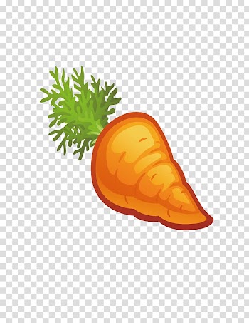 Berry Carrot Vegetable Fruit Coloring book, Fresh carrots transparent background PNG clipart