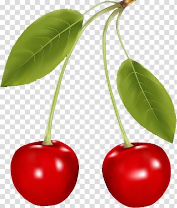 Berry Cherry Fruit, Cherry transparent background PNG clipart